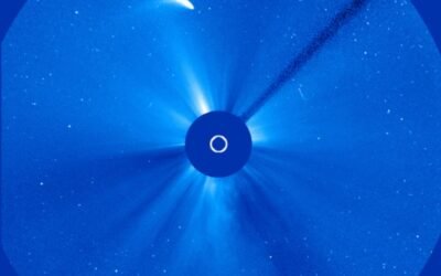 Check Out This Great View of Comet 96P Machholz, Courtesy of SOHO