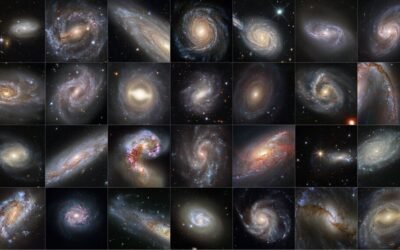 A Dazzling Hubble Collection of Supernova Host Galaxies