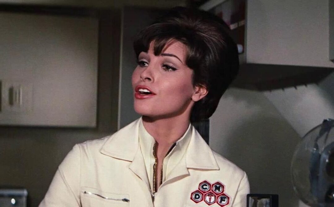 ‘Fantastic Voyage’ and ‘One Million Years B.C.’ star Raquel Welch has passed away at 82