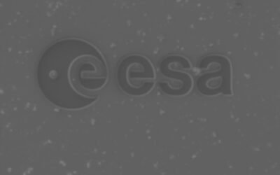 ESA in miniature