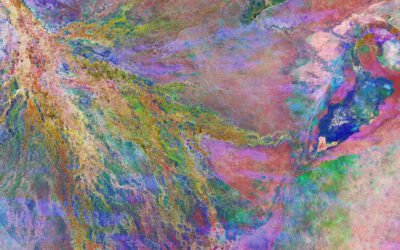 Week in images: 13-17 March 2023