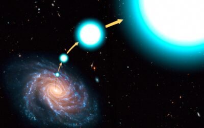Hypervelocity Stars Teach us About Black Holes and Supernovae