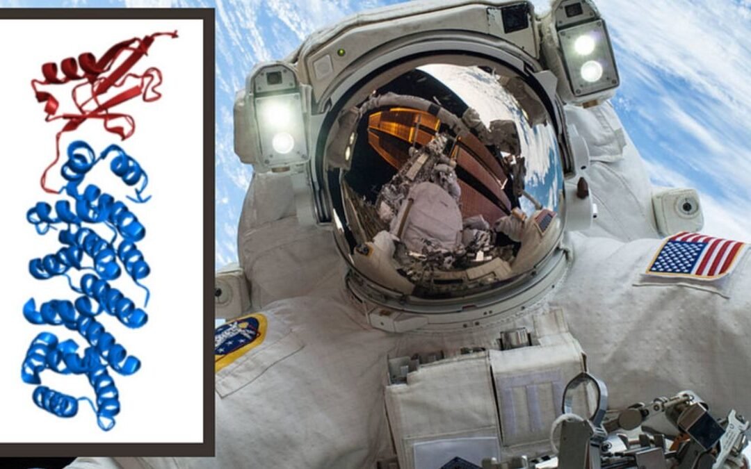 Microgravity in space can alter human cells. We now know how