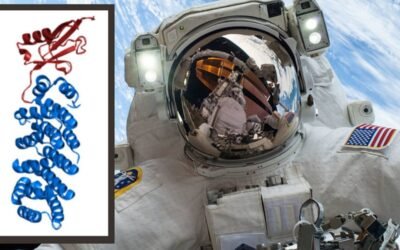 Microgravity in space can alter human cells. We now know how