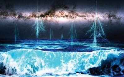 Did Supernovae Help Push Life to Become More Diverse?