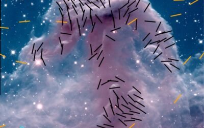 New Images Reveal the Magnetic Fields in the Horsehead Nebula