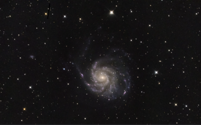 Bright, young supernova now visible in M101