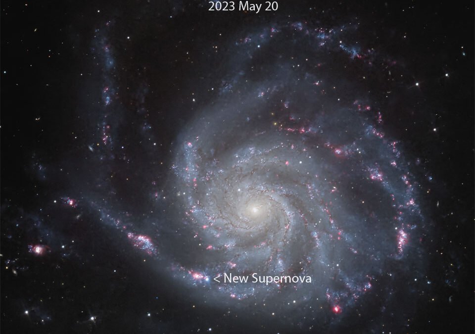 There’s a New Supernova in a Familiar Galaxy. You Can See it in a Small Telescope
