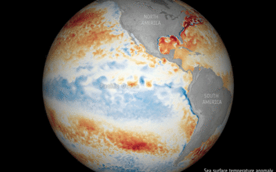 Our oceans are in hot water