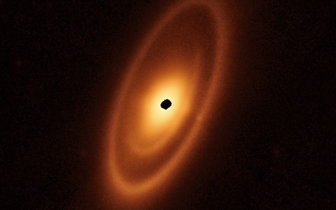 Webb Examined an Asteroid Belt and Found More Than it Bargained For