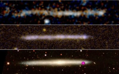 Runaway black hole with tail of stars may be galaxy in disguise