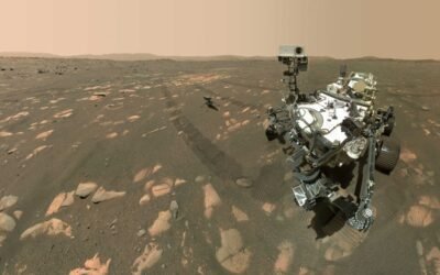 NASA and LEGO Continue Brick-Solid Partnership with Perseverance and Ingenuity LEGO Models
