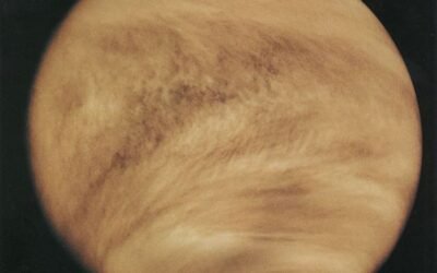 The Clouds of Venus Could Support Life