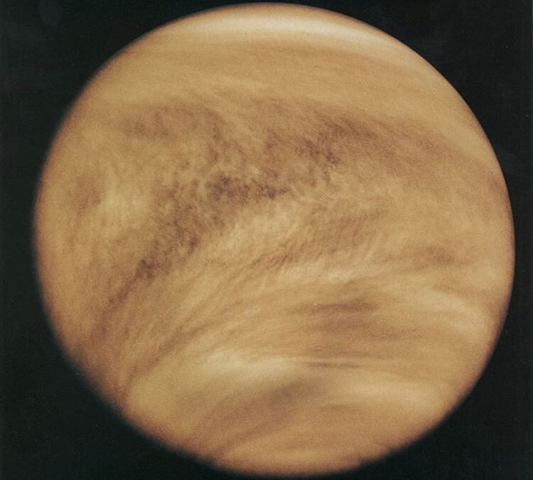 The Clouds of Venus Could Support Life