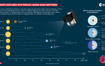 Cheops explores mysterious warm mini-Neptunes