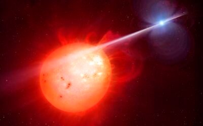 Second-ever elusive white dwarf pulsar spotted