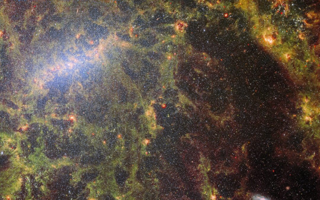 Week in images: 29 May – 02 June 2023