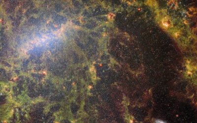Week in images: 29 May – 02 June 2023