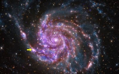 How long will the new supernova visible in the night sky last?