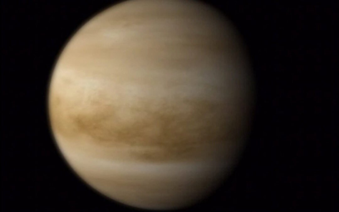 Building blocks of life could survive in Venus’ hostile atmosphere