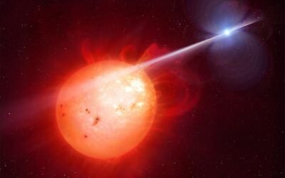 Astronomers Find a White Dwarf Pulsar