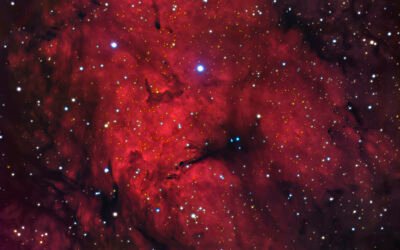 Capturing the light in dark nebulae