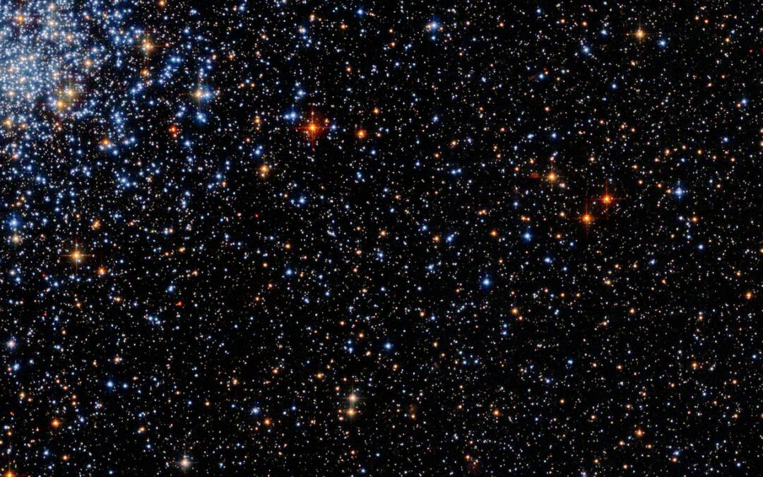 Essay contest: Send us your best observing story