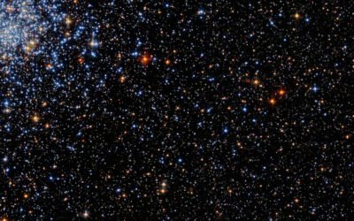 Essay contest: Send us your best observing story