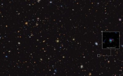 Webb sees carbon-rich dust grains in the first billion years of cosmic time