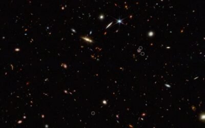 JWST Sees the Beginning of the Cosmic Web