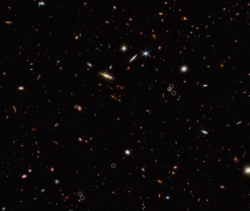 JWST Sees the Beginning of the Cosmic Web