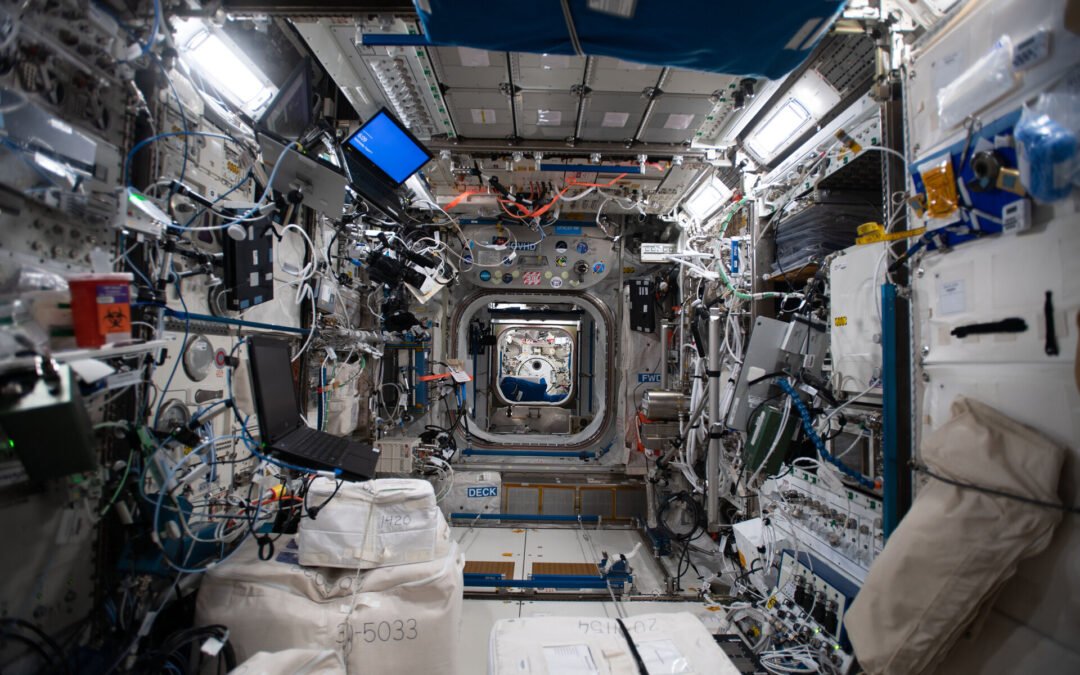 Dust on the International Space Station is contaminated with toxic chemicals
