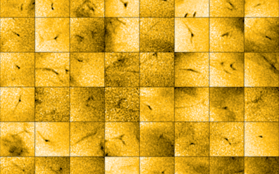 Solar Orbiter discovers tiny jets that could power the solar wind