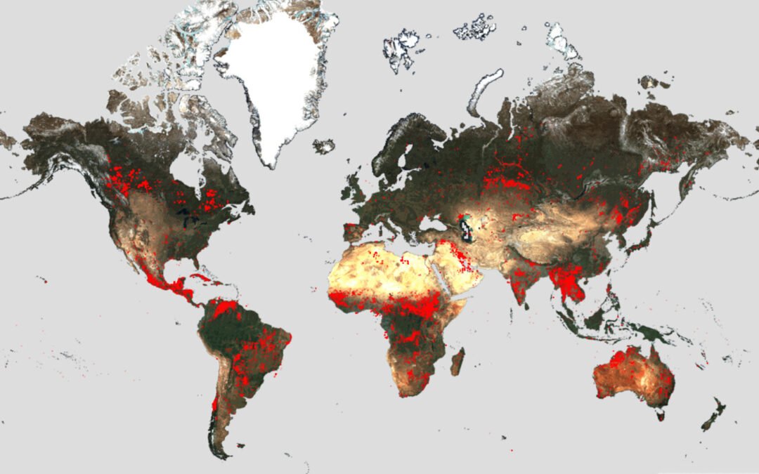 Counting wildfires across the globe