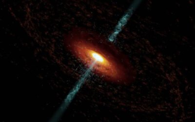 The Early Universe Should Be Awash in Active Galaxies, but JWST Isn’t Finding Them