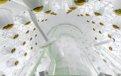 Researchers dig deep underground in hopes of finally observing dark matter