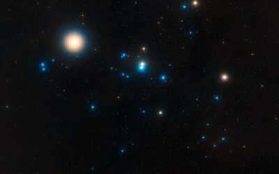 Closest black holes to Earth may lurk in the Hyades Cluster