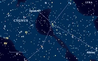 Binocular Universe: Searching for the Cygni 100