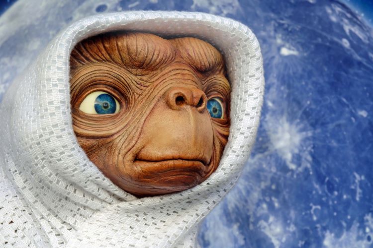 Since Aliens Obey the Laws of Physics, Can We Guess What They Look Like?