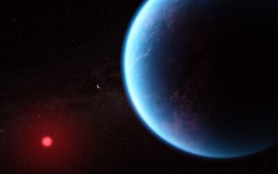 JWST Might Have Imaged a Hycean World for the First Time, With a Hydrogen-Rich Atmosphere and a Deep Planet-Wide Water Ocean
