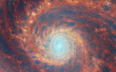 The JWST is Forcing Astronomers to Rethink Early Galaxies