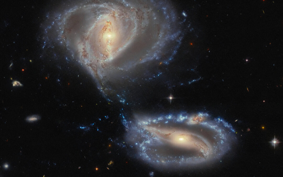 Week in images: 23-27 October 2023