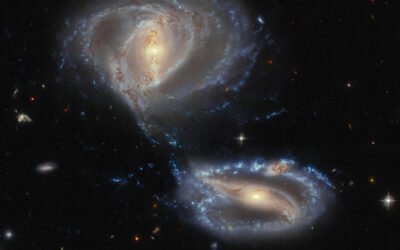 Week in images: 23-27 October 2023