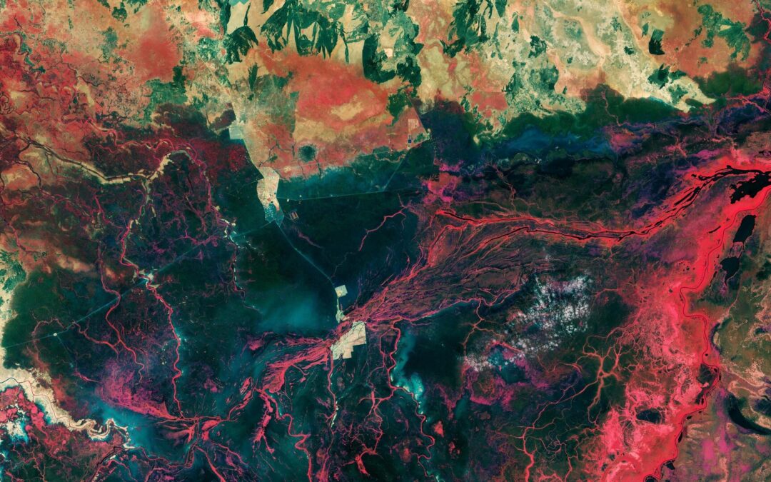 Week in images: 09-13 October 2023