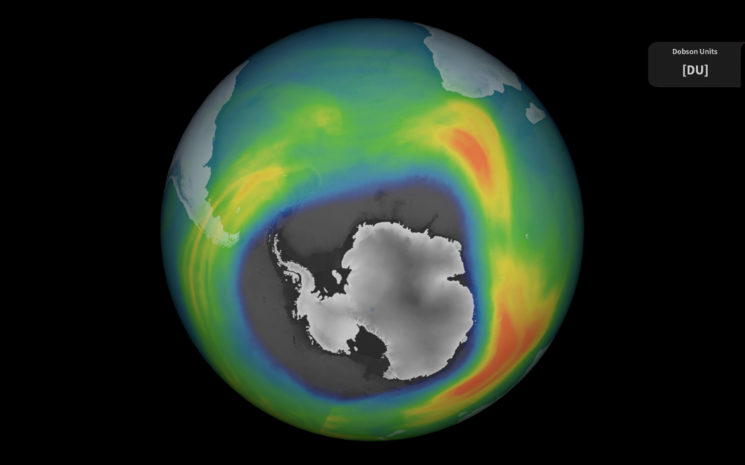 Ozone hole goes large again