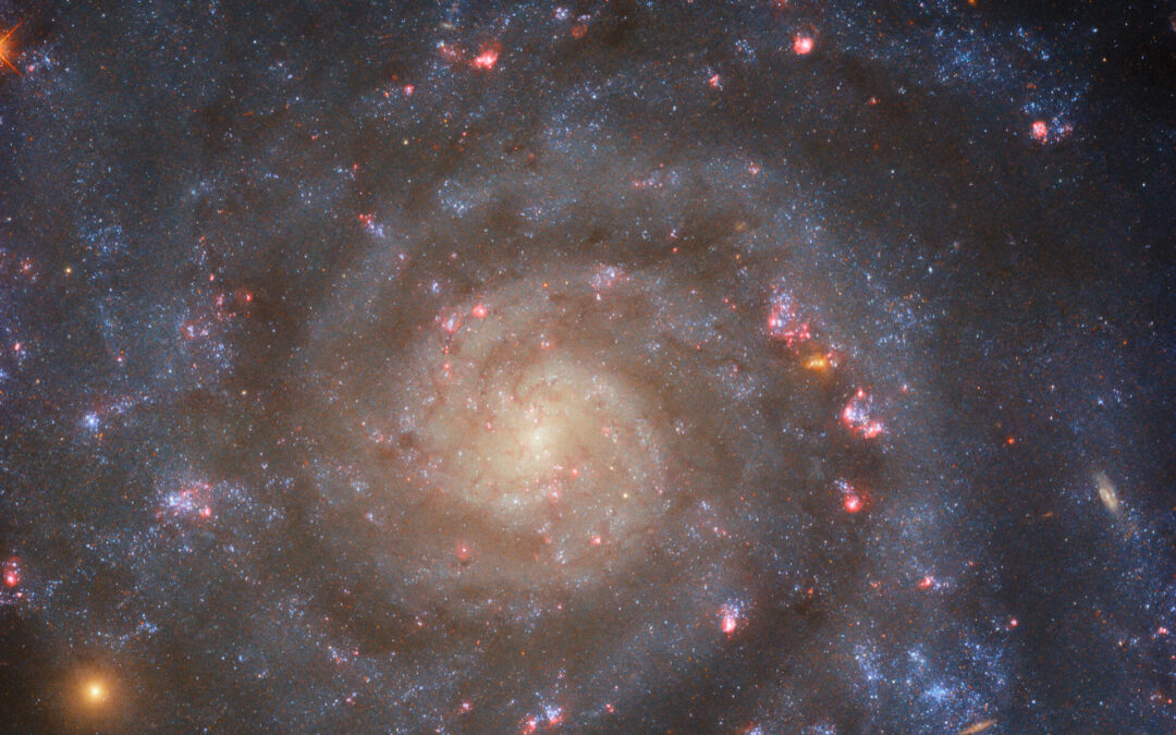 Week in images: 16-20 October 2023