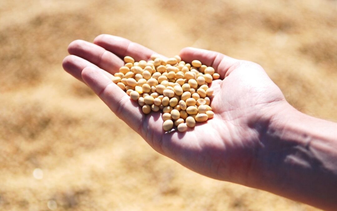 Measuring nutrition in crops from space