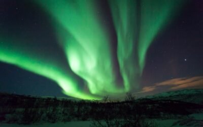 Prehistoric trees hint an immense solar storm hit Earth 14,300 years ago