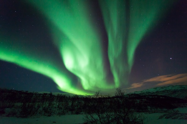 Prehistoric trees hint an immense solar storm hit Earth 14,300 years ago