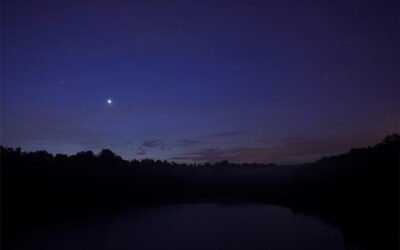 The Sky This Week from October 6 to 13: Venus mingles with Regulus